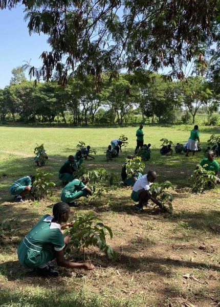 TREE PLANTING DAY